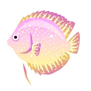 Pink Glitz Discus